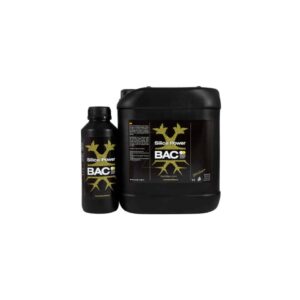 Silica power  BAC