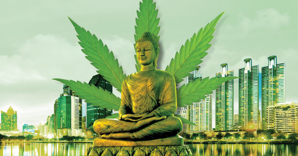 El nuevo país del cannabis BackGarden Grow Shop