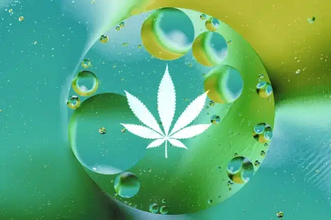 Usar agua oxigenada en el cultivo de marihuana Back Garden Grow Shop