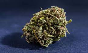 Que es el CBC Back Garden Grow Shop