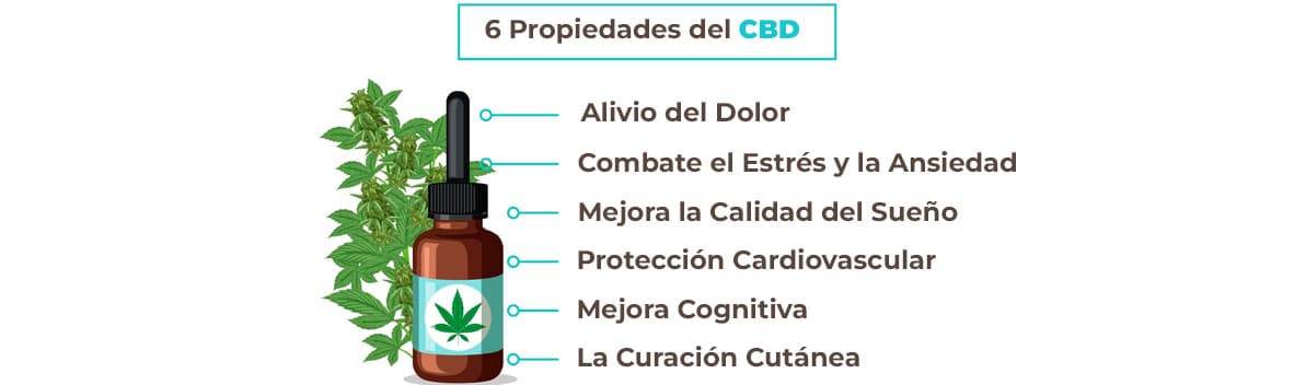 Beneficios CBD Back Garden Grow Shop