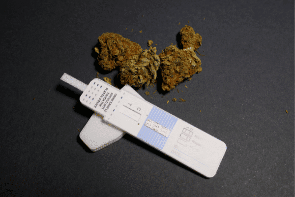 CBD positivo en un Test de Drogas Back Garden Grow Shop