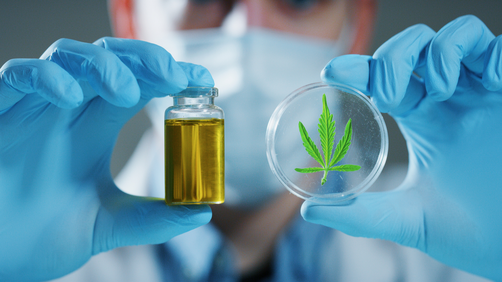 test de orina antidroga Back Garden Grow Shop Online