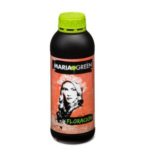 Bloom Maria Green