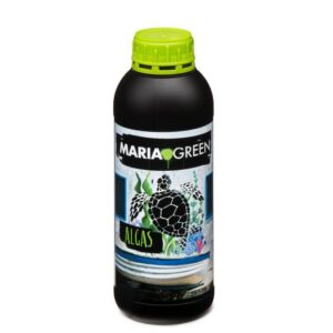 Algax Maria Green