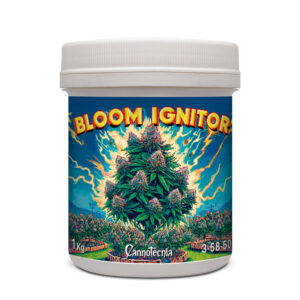 Bloom Ignitor Cannotecnia