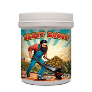 Heavy Boost Cannotecnia