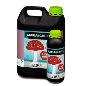 Guardian Stop Suelo Maria Green