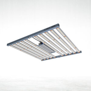 Platinum Led 1000w con Conexión para Master Controller