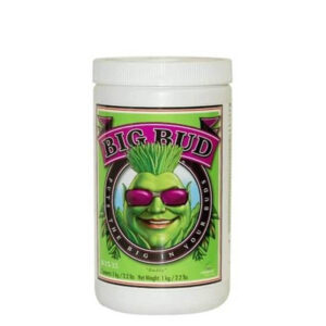 big bud powder 1kg
