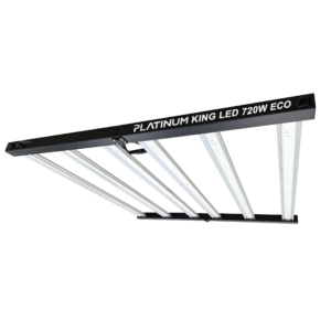 Platinum King Led 720 Eco