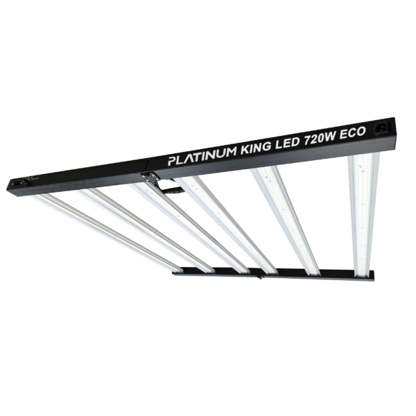 Platinum King Led 720 Eco