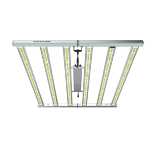LED EQUALIZE LEVEL RW 740W