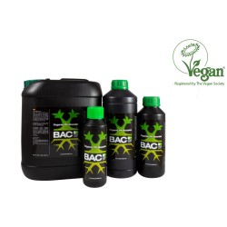 pk BOOSTER BAC