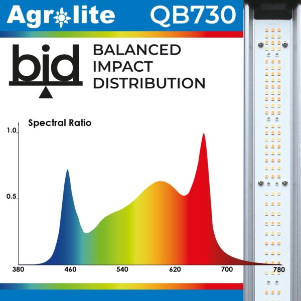 LED QB 730W 2.9 BID Agrolite