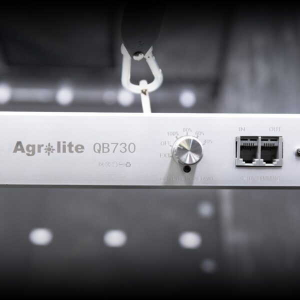 LED QB 730W 2.9 BID Agrolite