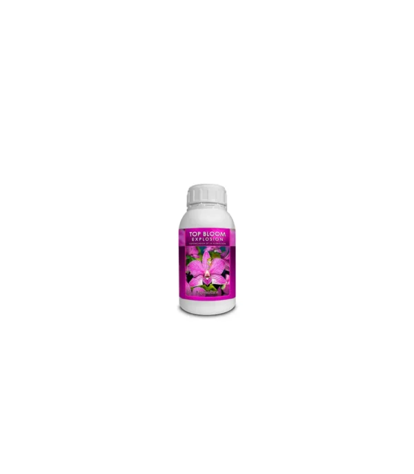 Bloom Explosion de KayaSolutions
