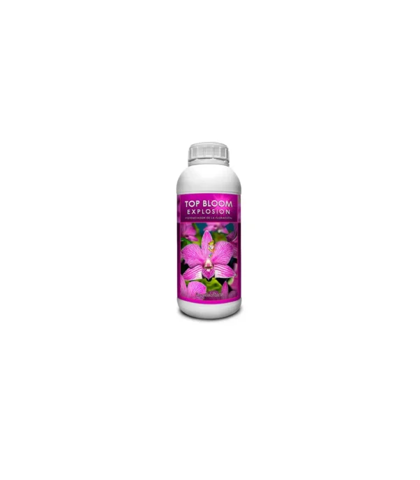 Bloom Explosion de KayaSolutions