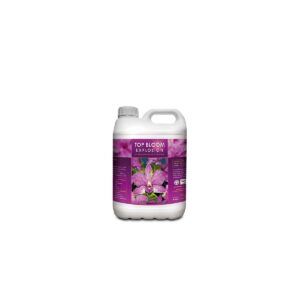 Bloom Explosion de KayaSolutions