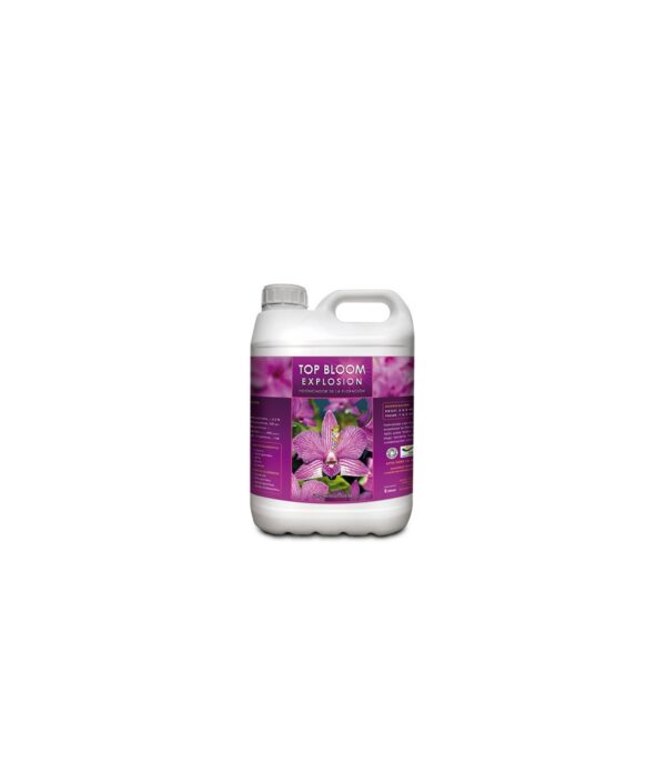Bloom Explosion de KayaSolutions